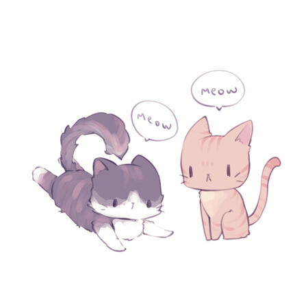 Litchi & Cookie talking to each other
