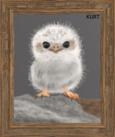 baby owl