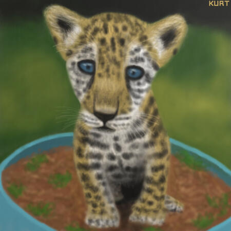 baby jaguar - Medieval Armada event